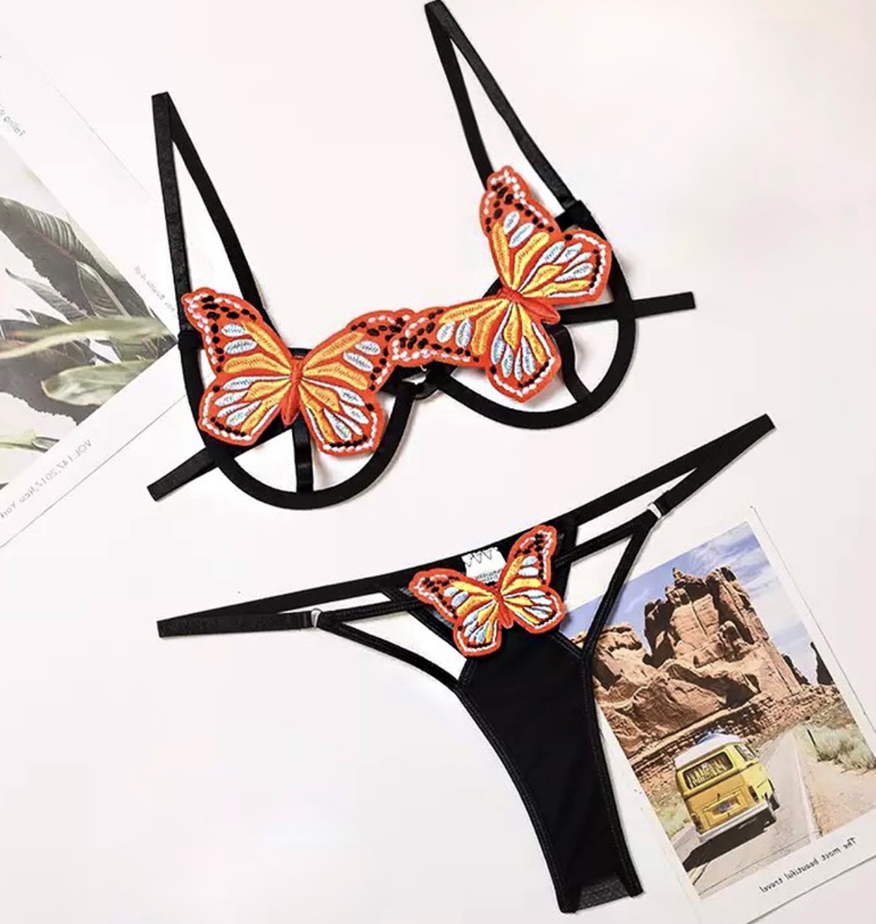 The ButterFly - Image 3